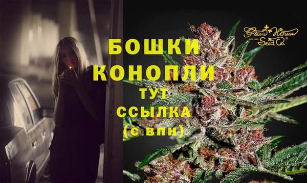 тгк Арсеньев