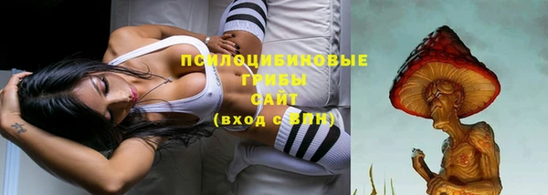 тгк Арсеньев