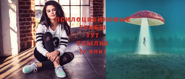 тгк Арсеньев
