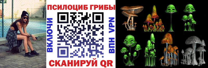 mega tor  Руза  Галлюциногенные грибы мухоморы 