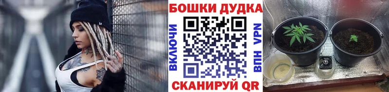 Марихуана Amnesia  где можно купить наркотик  Руза 